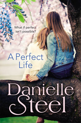 Book cover for A Perfect Life
