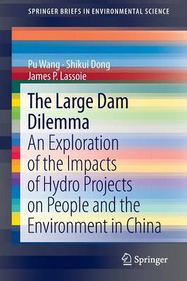 Book cover for The Large Dam Dilemma