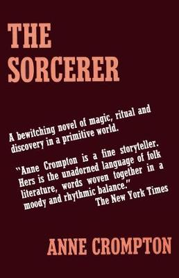 Book cover for The Sorcerer