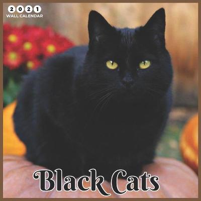 Book cover for Black Cats 2021 Wall Calendar