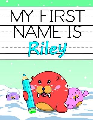 Book cover for My First Name is Riley