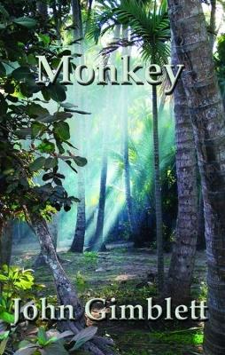 Book cover for Monkey