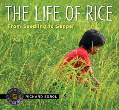 Cover of The Life of Rice