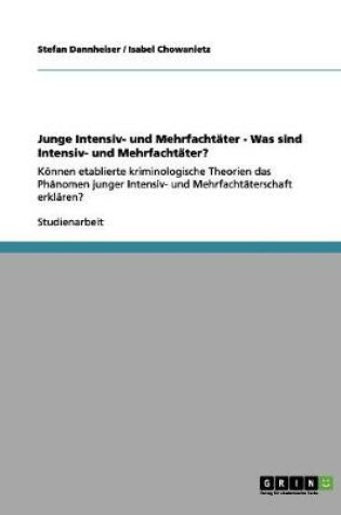 Cover of Junge Intensiv- und Mehrfachtater - Was sind Intensiv- und Mehrfachtater?