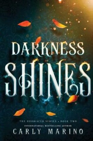 Cover of Darkness Shines