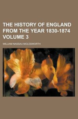 Cover of The History of England from the Year 1830-1874 Volume 3