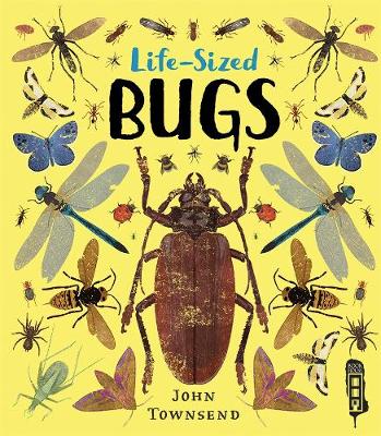 Book cover for Life-Sized Bugs
