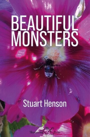 Cover of Beautiful Monsters