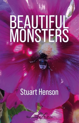 Book cover for Beautiful Monsters