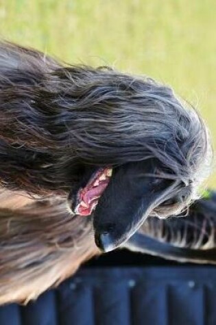 Cover of Afghan Dog Out for a Walk Journal