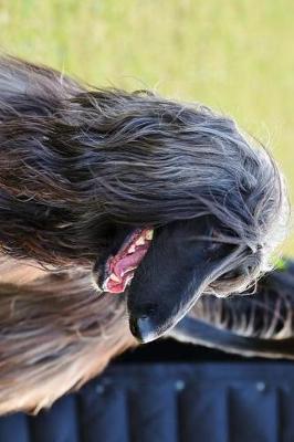 Book cover for Afghan Dog Out for a Walk Journal