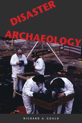 Book cover for Disaster Archaeology