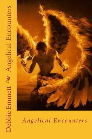 Cover of Angelical Encounters