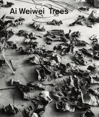 Book cover for Ai Weiwei