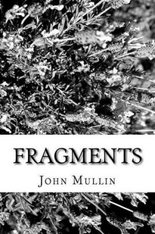 Cover of Fragments