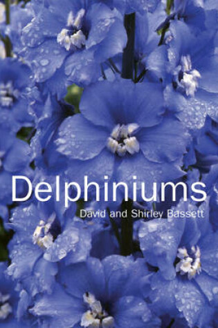 Cover of Delphiniums