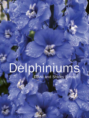 Book cover for Delphiniums