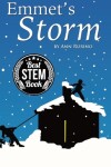 Book cover for Emmet's Storm