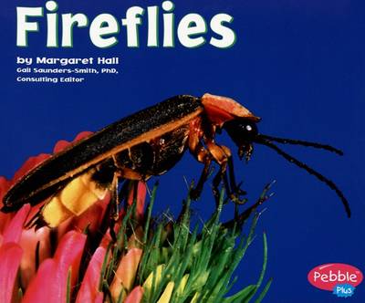 Book cover for Fireflies