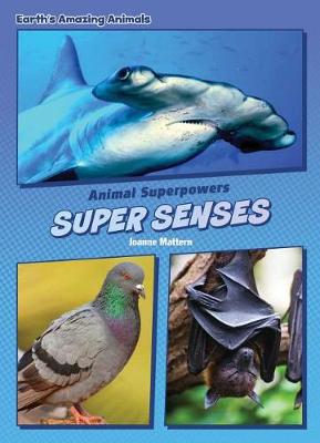 Book cover for Super Senses