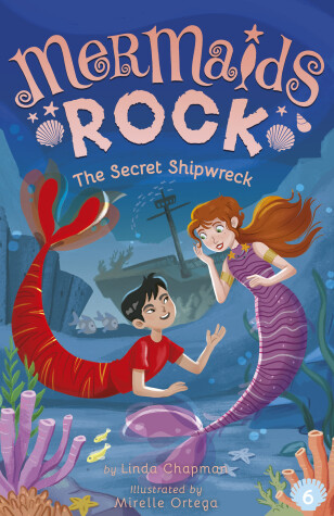 Book cover for The Secret Shipwreck