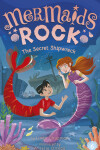 Book cover for The Secret Shipwreck