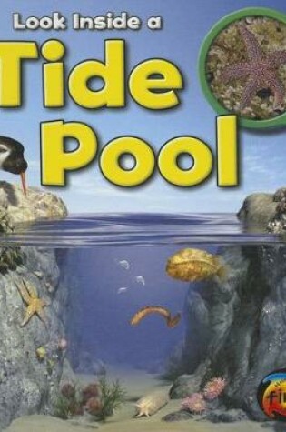 Cover of Look Inside a Tide Pool