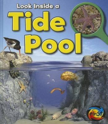 Book cover for Look Inside a Tide Pool