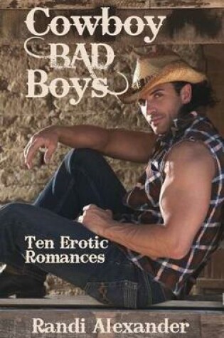 Cover of Cowboy Bad Boys