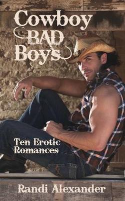 Book cover for Cowboy Bad Boys