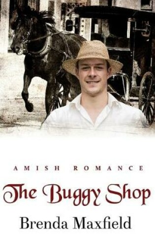 Cover of The Buggy Shop