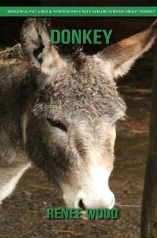 Cover of Donkey