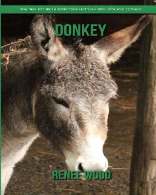 Book cover for Donkey