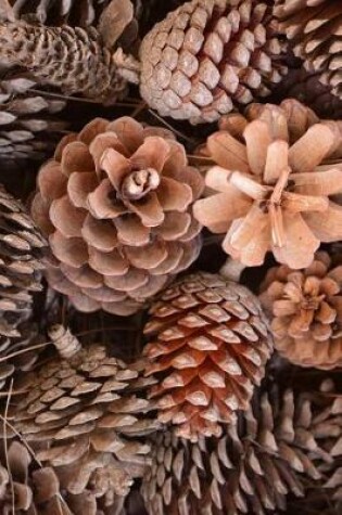 Cover of Pine Cone Harvest Journal