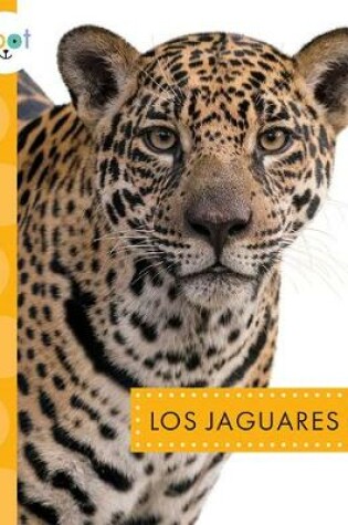 Cover of Los Jaguares