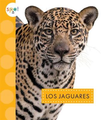 Book cover for Los Jaguares