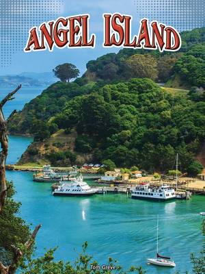 Book cover for Angel Island