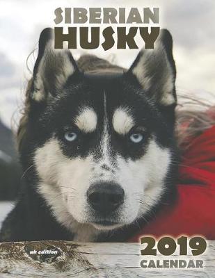 Book cover for The Siberian Husky 2019 Calendar (UK Edition)