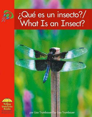 Book cover for ?que Es Un Insecto?/What Is an Insect?