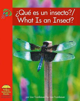 Cover of ¿qué Es Un Insecto?/What Is an Insect?