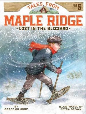 Book cover for Lost in the Blizzard