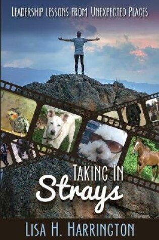 Cover of Taking In Strays