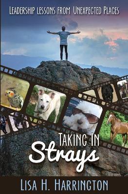 Book cover for Taking In Strays