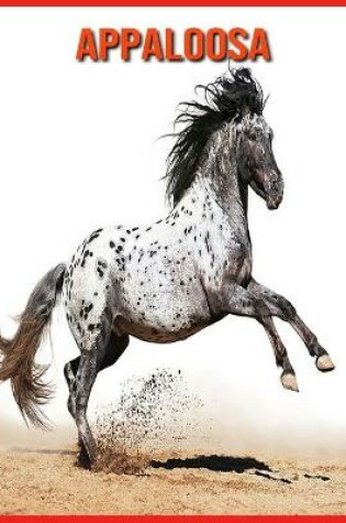 Cover of Appaloosa