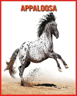 Book cover for Appaloosa