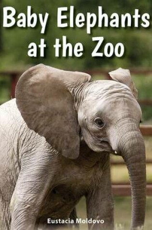 Cover of Baby Elephants at the Zoo