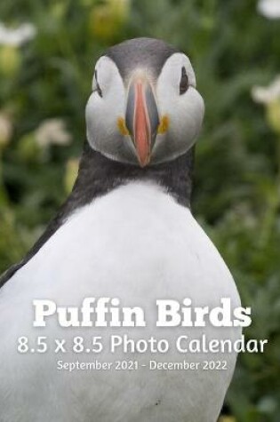 Cover of Puffin Birds 8.5 X 8.5 Calendar September 2021 -December 2022