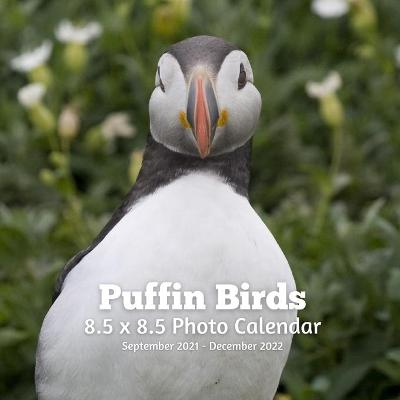 Book cover for Puffin Birds 8.5 X 8.5 Calendar September 2021 -December 2022