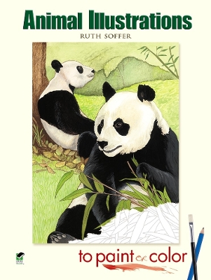 Book cover for Animal Illustrations to Paint or Color