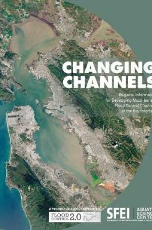 Cover of Changing Channels